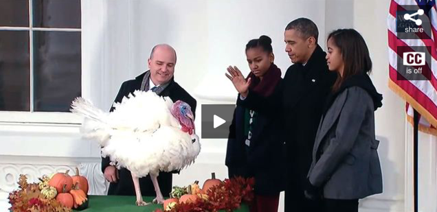 Pardoning Turkeys, Not People? Obama Urged to Reverse Lowest Clemency Rate of Modern Presidency