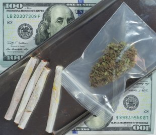 Pot Economics: What’s the Future of the American Marijuana Market?
