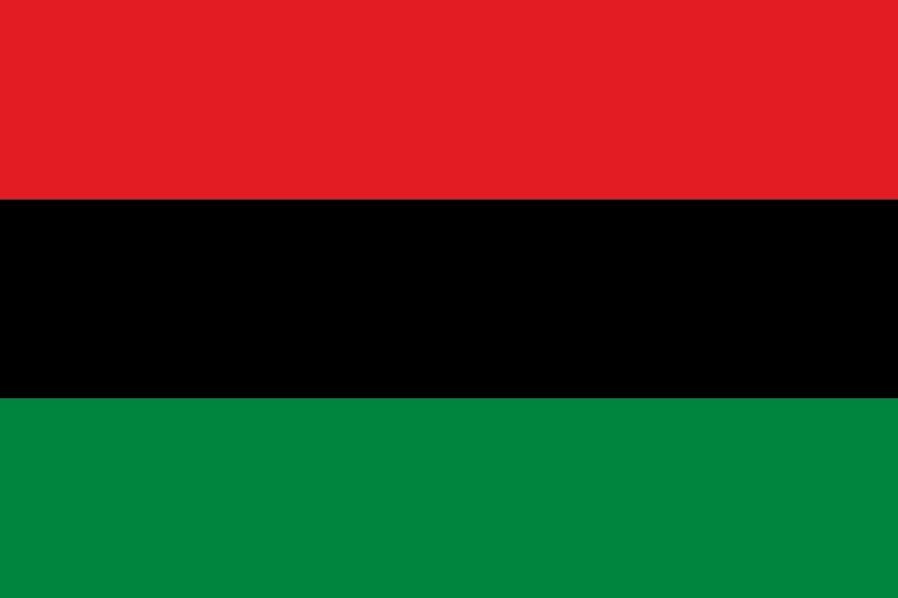The Red, Black and Green: Fly the Flag and Fight for the Exoneration of
