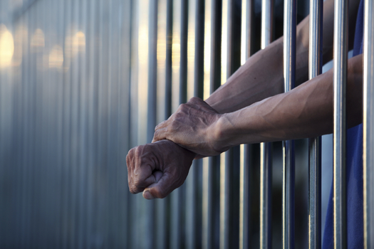New Tool Exposes Companies Profiting from Mass Incarceration 