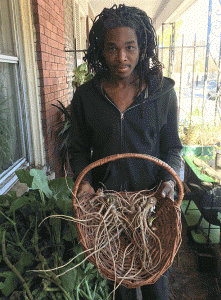 Chris Bolden-Newsome shows off a basket of marshmallow root he grew at Bantram’s Garden. Photo by Owen Taylor.
