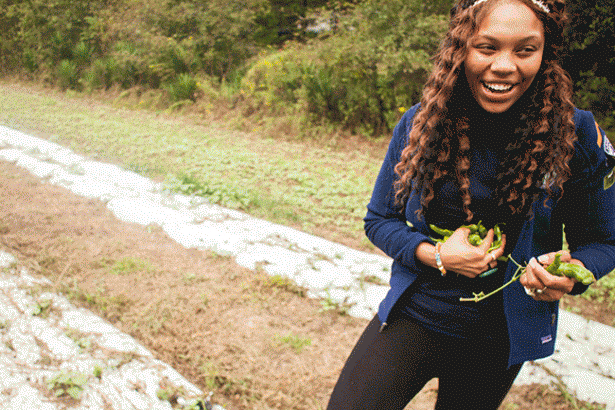 Above Photo: Lindsey Lunsford gathers peppers at TULIP’s community garden. Photo by Wil Sands.