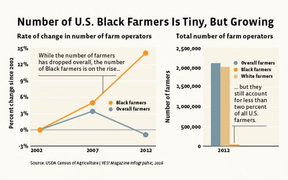 Blackfarmersgraph