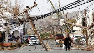 Mosquitos, Rats, And No Clean Water: This Letter Reveals the Grim Struggle to Survive After Hurricane Maria