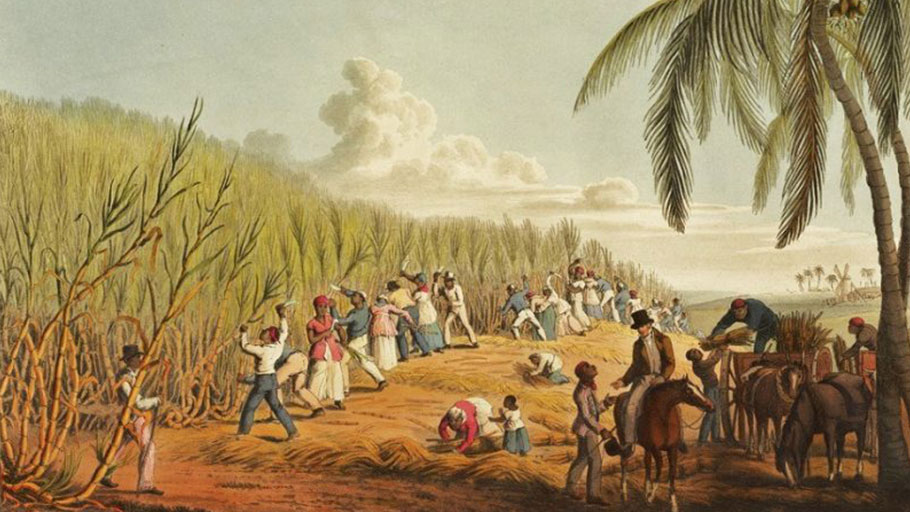 Caribbean sugar plantations