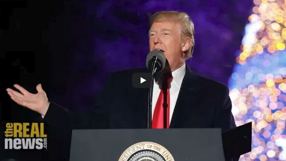 Video: Gerald Horne on Trump’s Racist, Nativist 1st Year