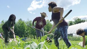 Participants in Soul Fire Farm's Black Latinx Farmers Immersion program prepare a bed for planting.