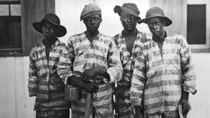 Convicts leased to harvest timber in Florida around 1915