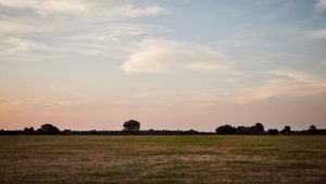 Farmland outside of Ville Platte.