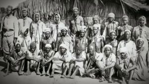 Sugar was the engine of the slave trade that brought millions of Africans to the Americas beginning in the early 16th century