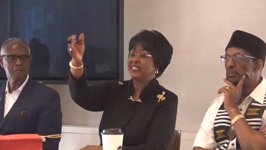 Dr. Arikana Chihombori-Quao, Pan-African Unity Dialogue in New York