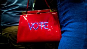 The purse of an attendee at a Democratic Congressional Campaign Committee rally addressed by President Barack Obama, Anaheim, California, September 8, 2018.