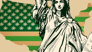 Marijuana, Cannibus, Marijuana Reform