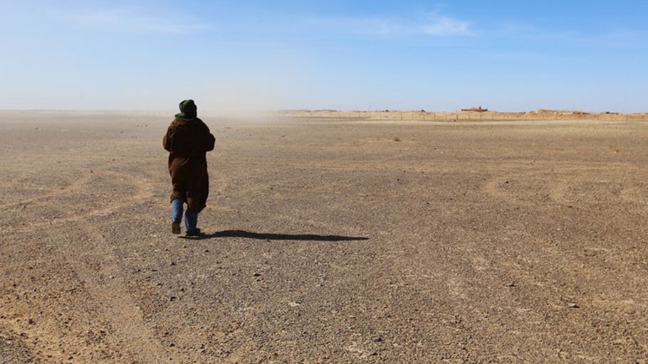 A Polisario Front official surveys the Moroccan Berm in the Western Sahara. John Bolton and a former German President have helped spur the first negotiations over the disputed desert territory in six years.