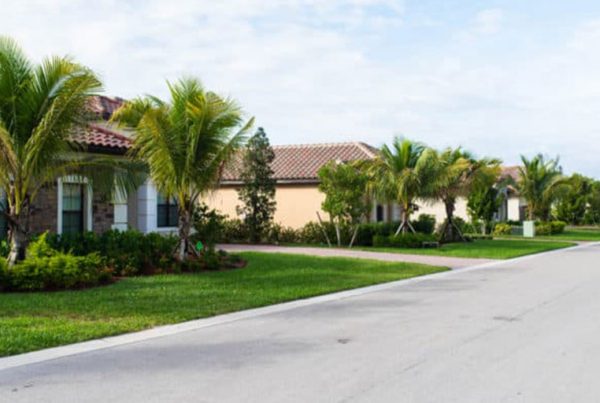 Neighborhood homes
