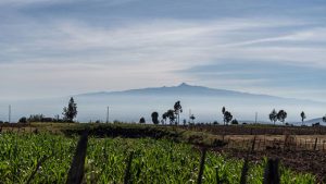 Mount Kenya peeks out from the clouds beyond a garlic farm in Embaringo, Kenya.