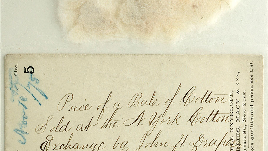 Cotton from a bale sold at the New York Cotton Exchange, which Southern merchants like the Lehman Brothers made into the leading cotton futures market, 1875