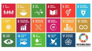 Sustainable Development Goals (SDGs)