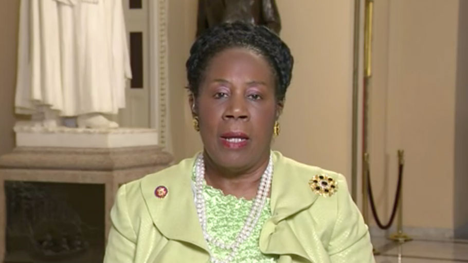 Sheila Jackson Lee says reparations commission would help "understand the hurts" of African-Americans