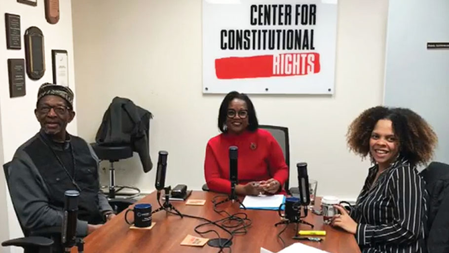 The Activist Files Podcast Episode 22: Restitution and repair - a discussion on Black reparations with Dr. Ron Daniels and Marbre Stahly-Butts