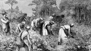 Slavery Illustration