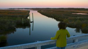 Stewart's Canal in Harriet Tubman Underground Railroad National Monument