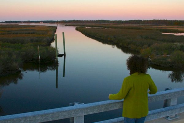 Stewart's Canal in Harriet Tubman Underground Railroad National Monument