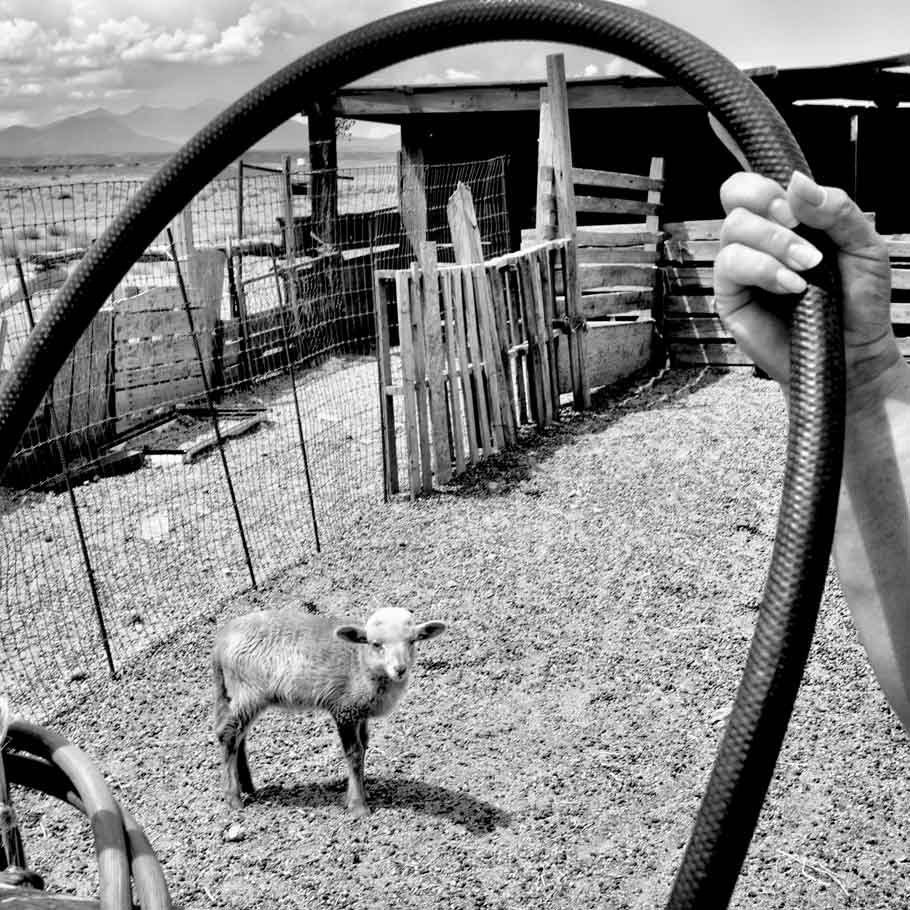 A sheep corral without running water in Black Falls, Ariz. 