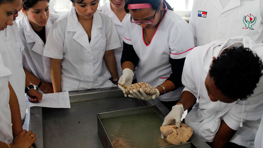 Students study human brains during an anatomy class at the Latin American School of Medicine in Havana.