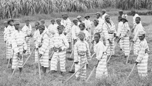 Juvenile convicts at work in the fields, 1903.