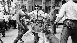 Police dog attacking man - Civil Rights Movement 1960s