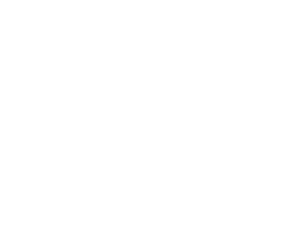 HSP Logo White