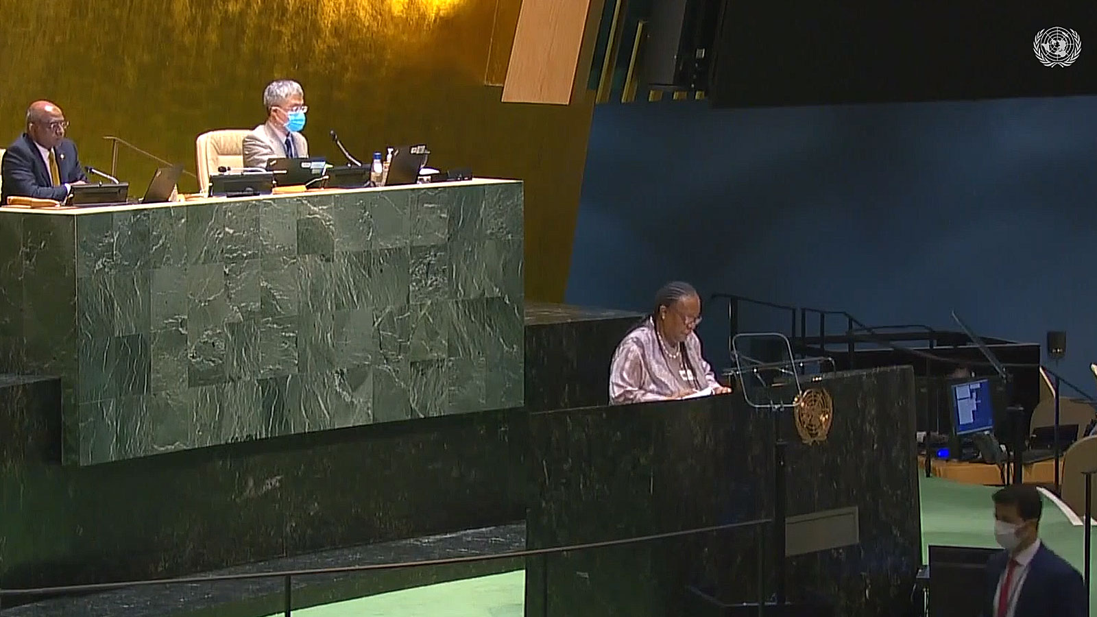UN General Assembly: Reparations, racial justice and equality for people of African descent