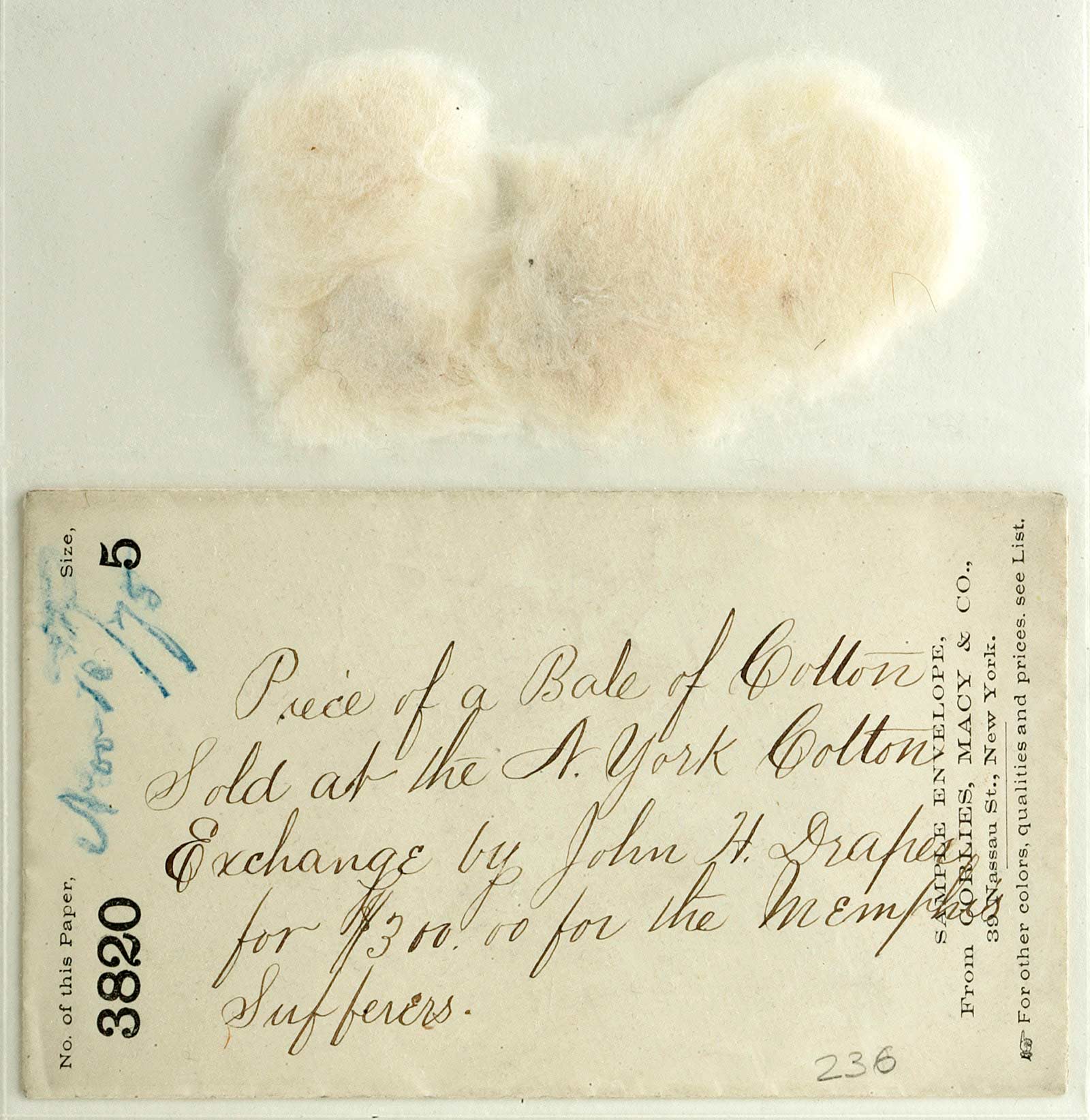 Cotton from a bale sold at the New York Cotton Exchange, which Southern merchants like the Lehman Brothers made into the leading cotton futures market, 1875