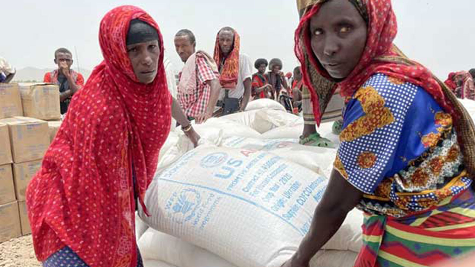 The World Food Programme (WFP)