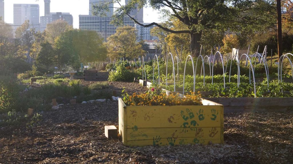 Fulton County declares importance of small farms and urban agriculture: a giant leap toward food equity