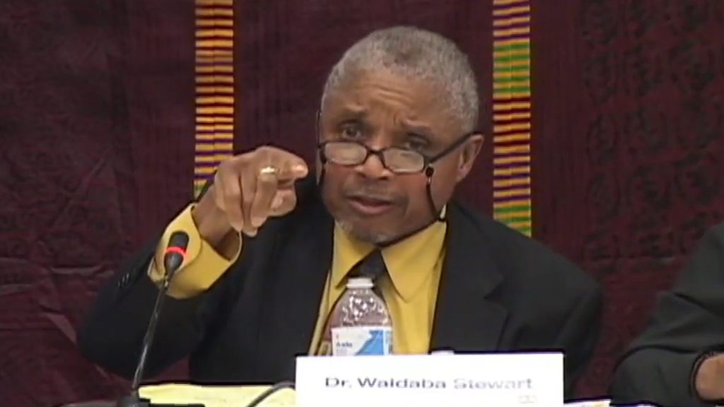 Dr. Waldaba Stewart: 2013 Symposium on the Future of African and Caribbean Democracy & Development