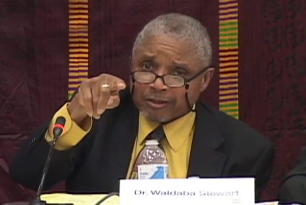 Dr. Waldaba Stewart: 2013 Symposium on the Future of African and Caribbean Democracy & Development