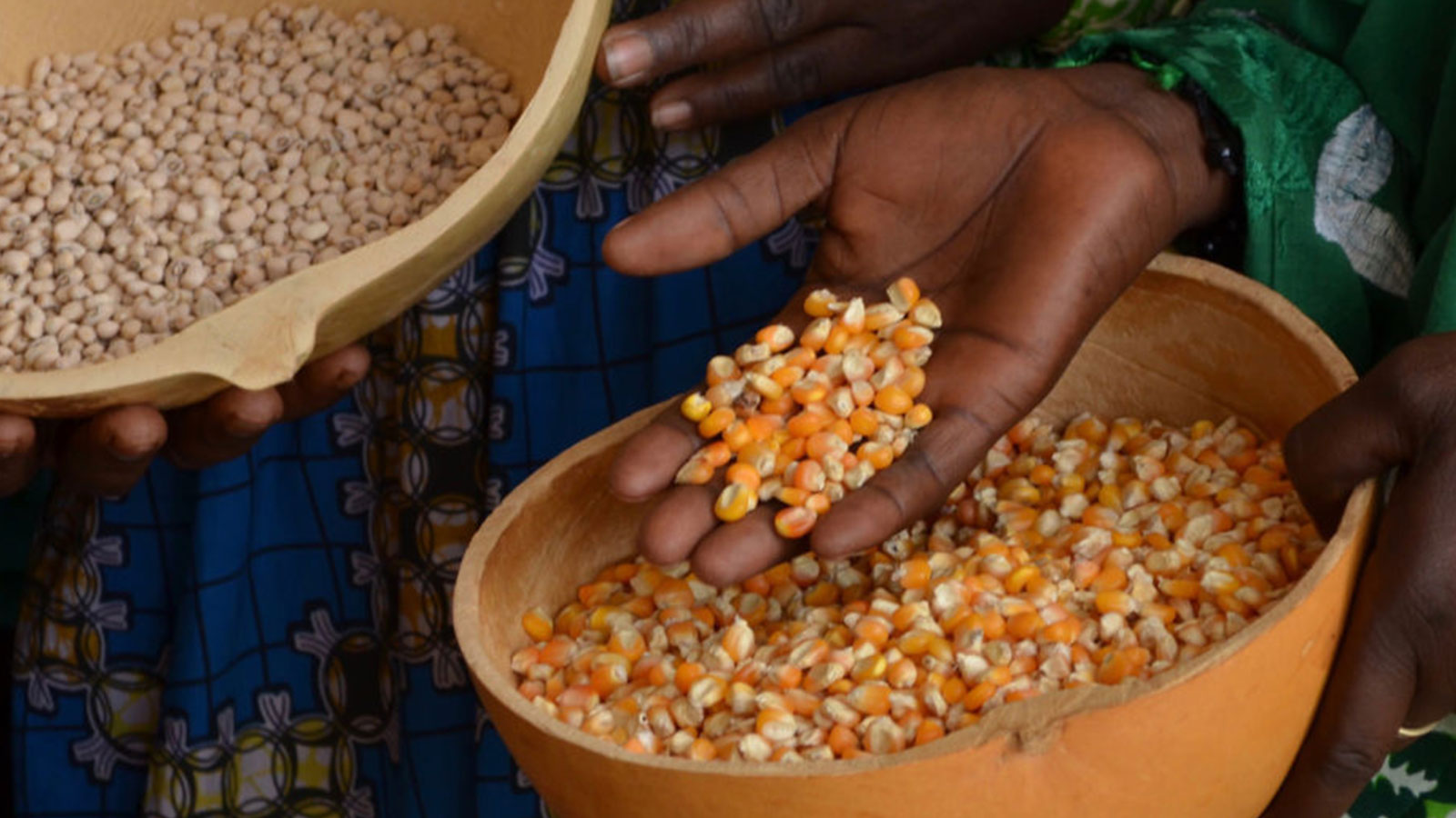 Farmers with seeds in West Africa. Image courtesy of Grassroots International.