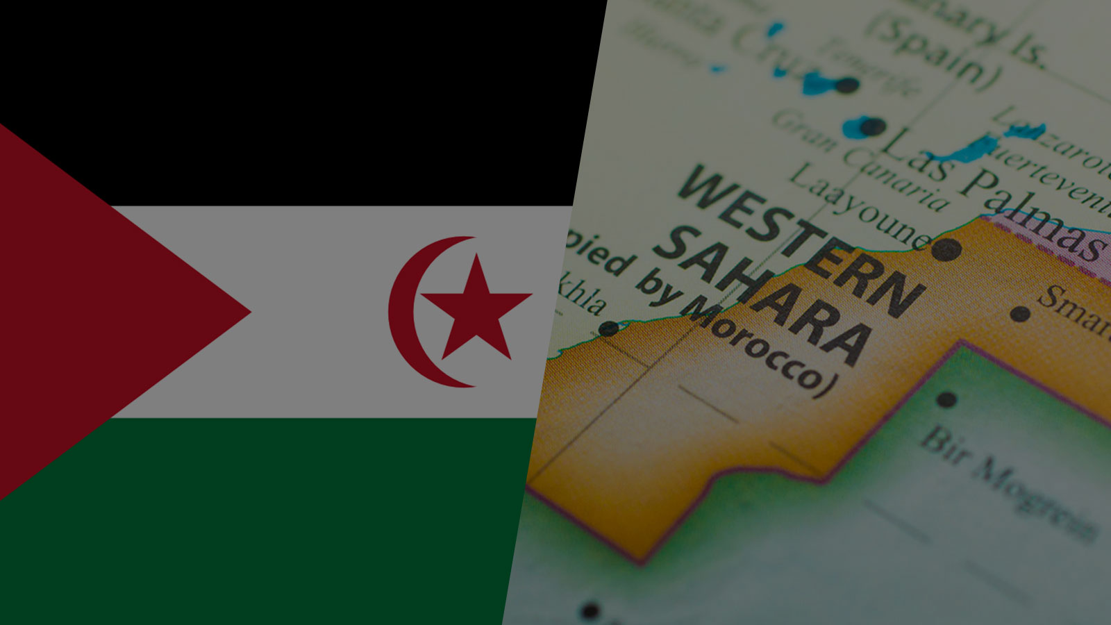 Frente Polisario Turns 50: A Retrospective