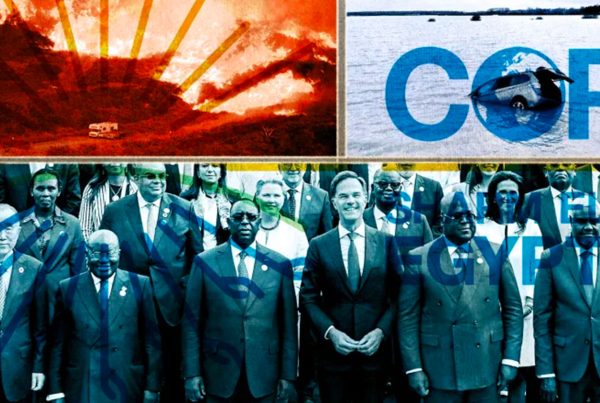 What to expect at COP27 | The Week