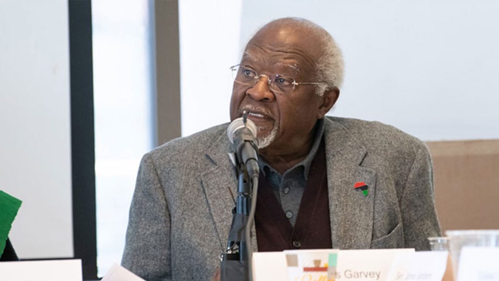 Dr. Julius Garvey - February 22, 2020 IBW21 Pan African Unity Dialogue (PAUD) Meeting.