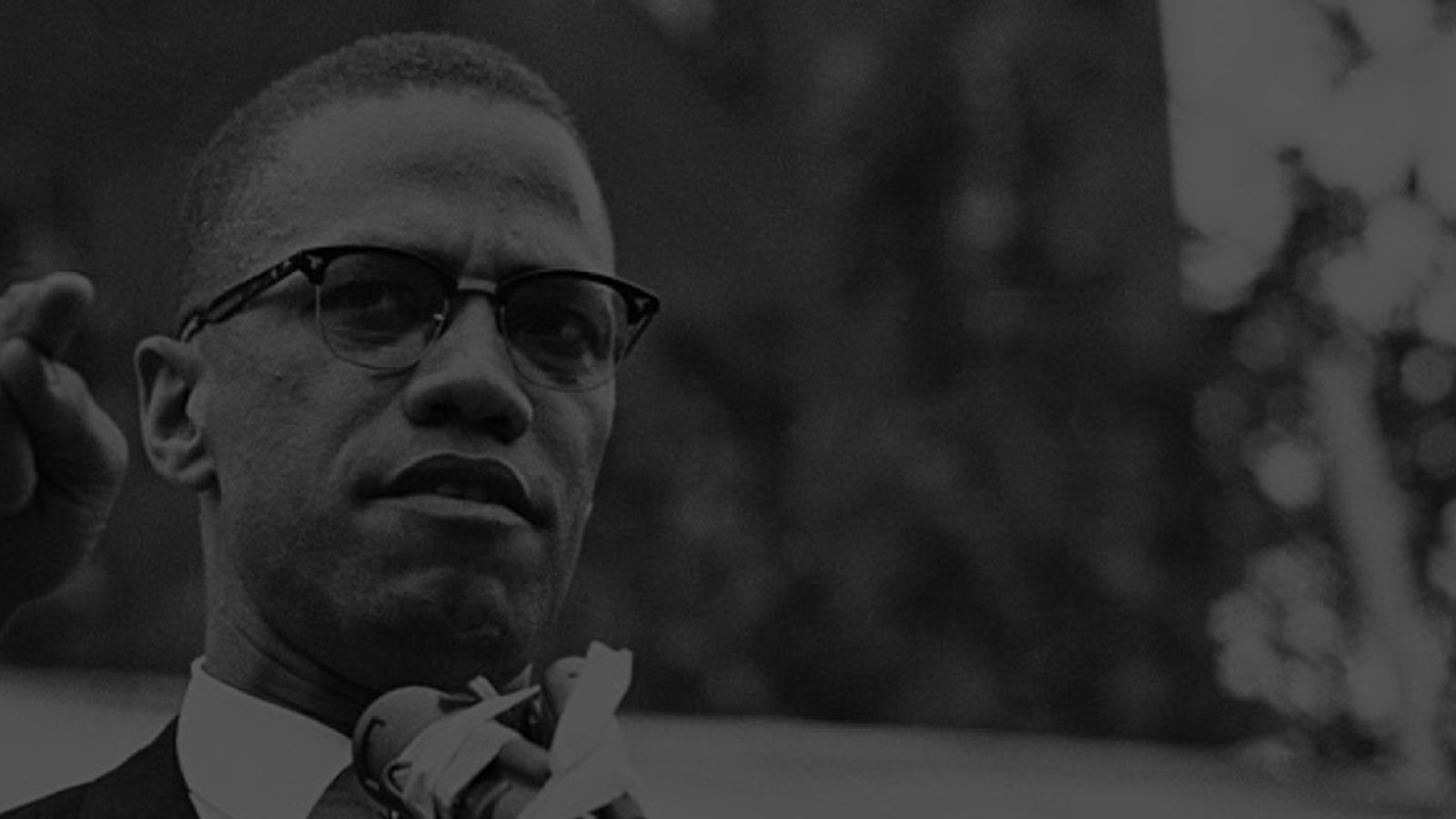 Watch “Reflections on 1990: The Year of Malcolm X — by Dr. Ron Daniels”