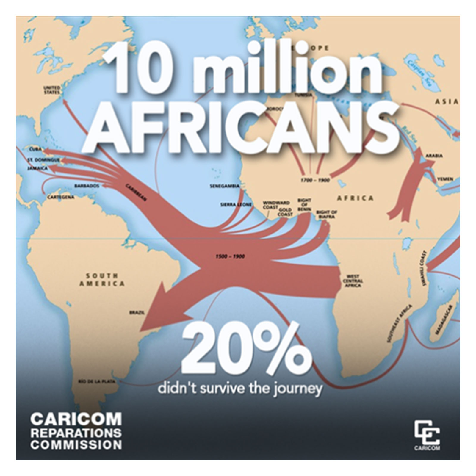 10 million Africans (20%) did not survive the journey - Graphic by CARICOM Reparations Commission
