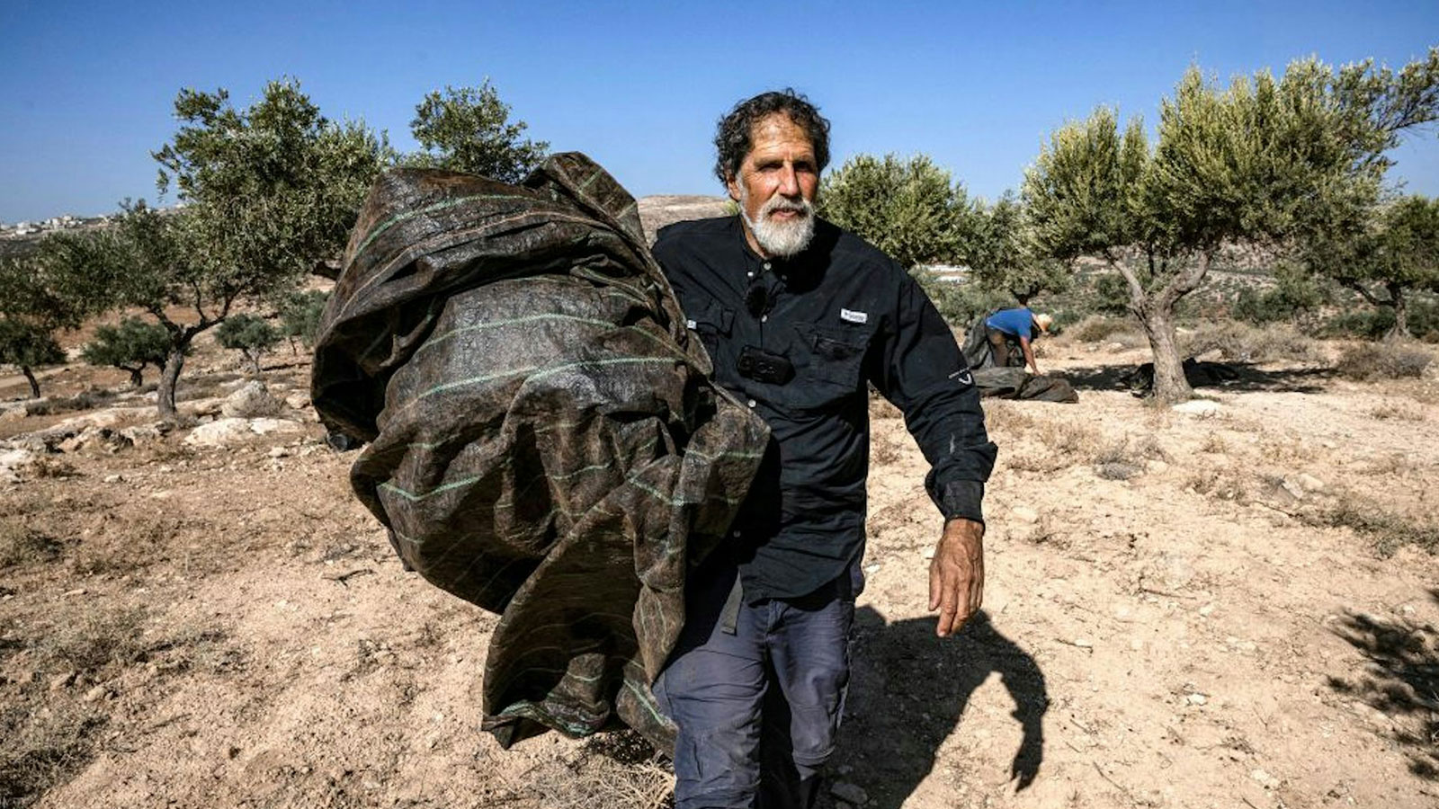 U.S.-born Israeli Reform Rabbi Arik Ascherman, a member of Rabbis for Human Rights, helps Palestinians during the olive harvest outside Ramallah in November 2023. 