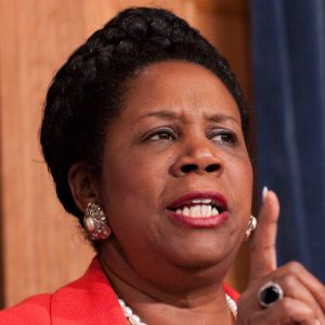 The Honorable Sheila Jackson Lee