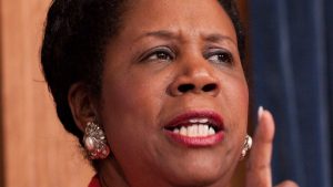 The Honorable Sheila Jackson Lee