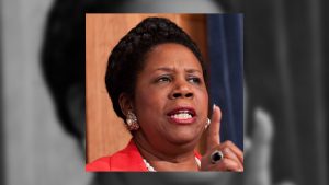 Congresswoman Sheila Jackson Lee