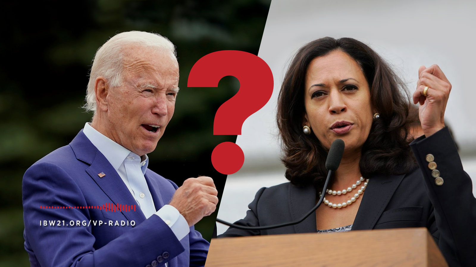 Vantage Point: Riding with Biden or Rallying Around Kamala – Which Way forward for Democrats?
