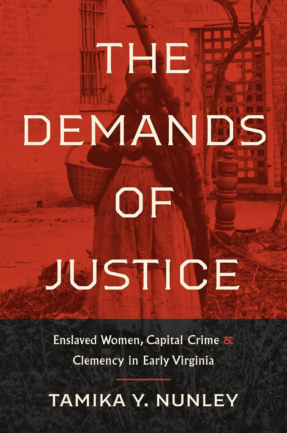 The Demands of Justice - Tamika Y. Nunley